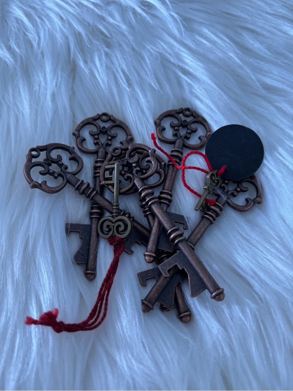 Antique-Style Decorative Skeleton Keys with Red Tassels